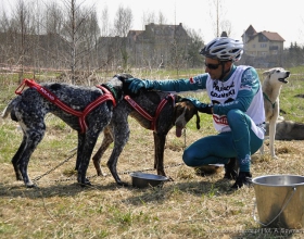 16 i 17 kwietnia 2011 Wyścigi psich zaprzęgów