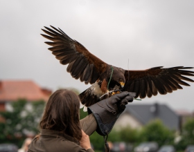 dni-pruszcza-niedziela-58