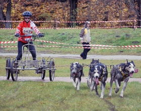 6 listopada 2010 Psie zaprzęgi (I)