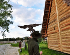 24-25 września 2011 Faktoria pod gwiazdami