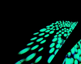 II Festiwal Światła