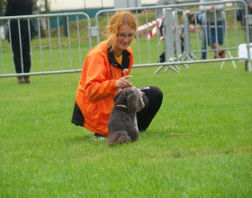16 września Psi Piknik