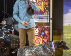 bf316b01f8