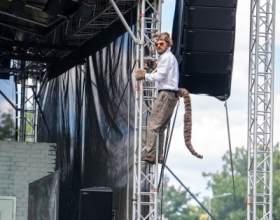 Zaczarowana-Krolewna-cz.2-08