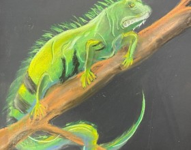 IMG_7291