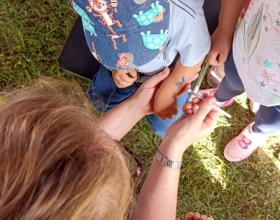 b807dde4-c059-4b0a-99c3-146c0ab23020