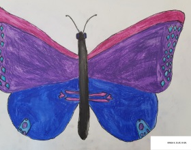 Owady - kredka akwarelowa