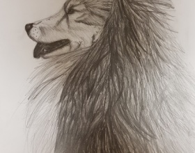 20240520_185510