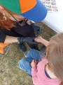 IMG_20250710_102051