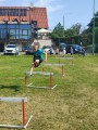 IMG_20250703_101921