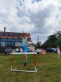 IMG_20250703_111323