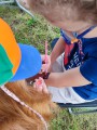 IMG_20250717_101223