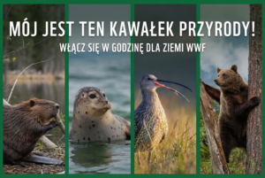 Godzina dla Ziemi – WWF